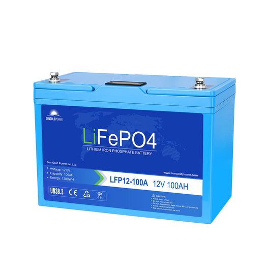 12V 100AH LiFePO4 Deep Cycle Lithium Battery / Bluetooth /Self-heating / IP65